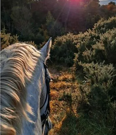 Апартаменты 9 Modern On Equestrian Centre